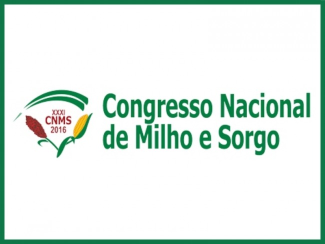  Congresso Nacional de Milho e Sorgo acontece em Bento Gonalves   