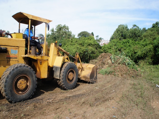 Mais de 770 manutenções em árvores são contabilizadas neste ano em Bagé