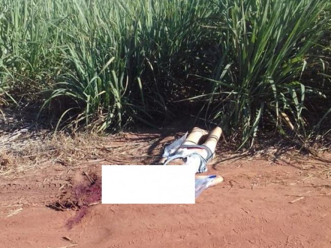 Mulher  encontrada morta em canavial entre Pindorama e Vila Roberto