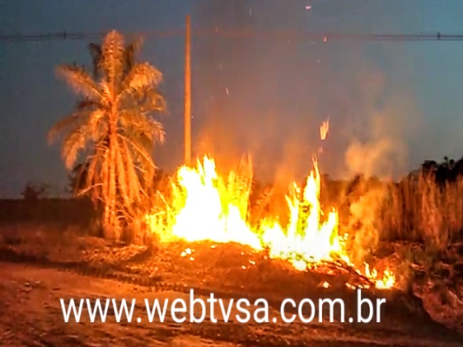 Polcia civil de Pindorama prende elementos colocando fogo em canaviais.