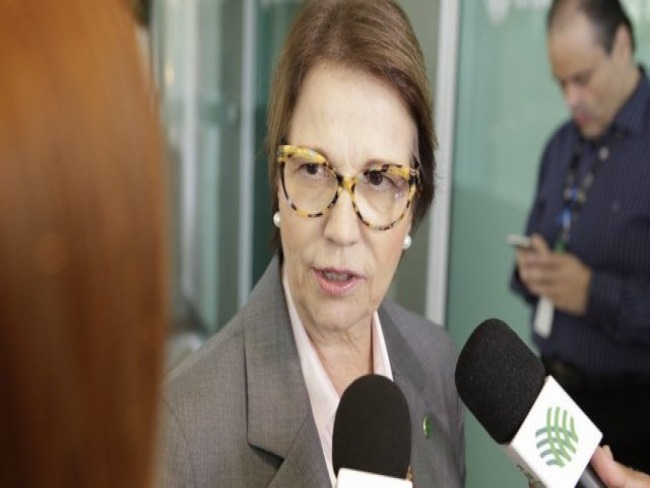 Bolsonaro nomeia Csar Halum, do Centro, para secretaria no Ministrio de Tereza