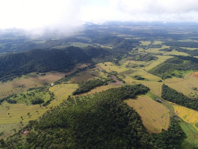 Por disparada do desmatamento, gigantes europeias ameaam cortar investimentos no Brasil