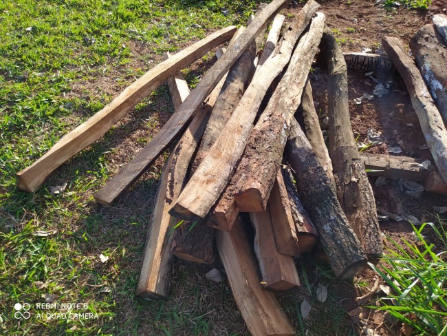 Homem  multado em R$ 1 mil por explorao e armazenamento de madeira em assentamento