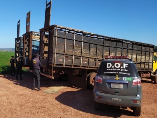 Polcia intercepta caminhes boiadeiros com quase 4 toneladas de maconha