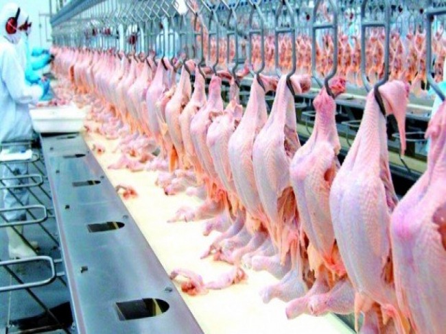 Chineses detectam coronavrus em frango importado do Brasil