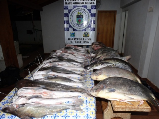 PMA de Bataypor prende e autua quatro pessoas em R$ 8,4 mil por pesca predatria