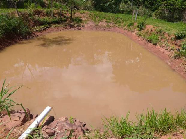 Advogada  multada em R$ 5 mil por construir tanques de piscicultura em rea de matas ciliares