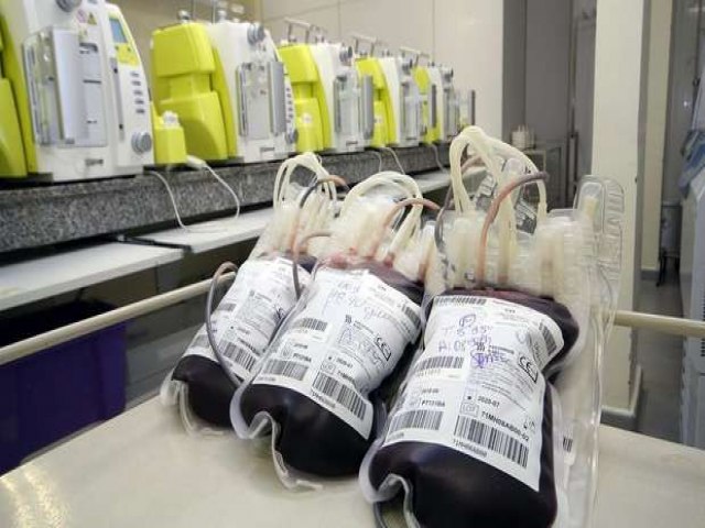 Pedidos de doações de sangue aumentam, mas quem já teve covid-19 pode doar?