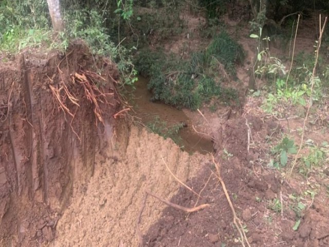 Campo-grandense  multada em R$ 30 mil aps desmatar rea para construir loteamento em Bonito