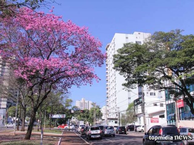 Campo Grande  reconhecida pela 2 vez seguida como uma das mais arborizadas do mundo