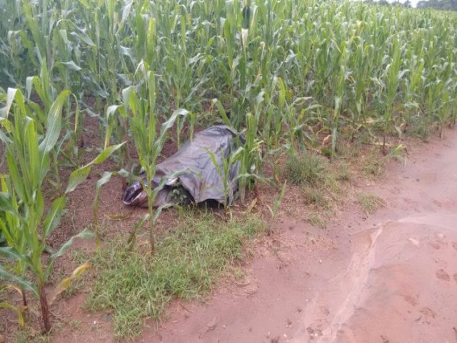 Durante colheita, funcionários de fazenda encontram cadáver em meio a plantação de soja