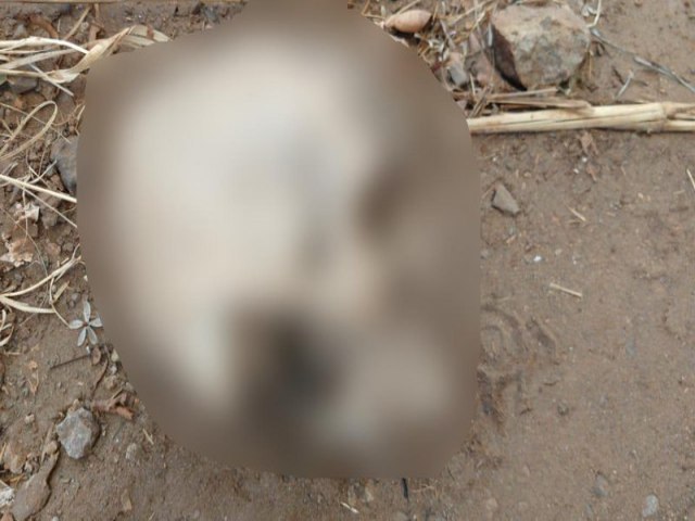 Ossada humana  encontrada ao lado de cerca em stio de cidade de MS