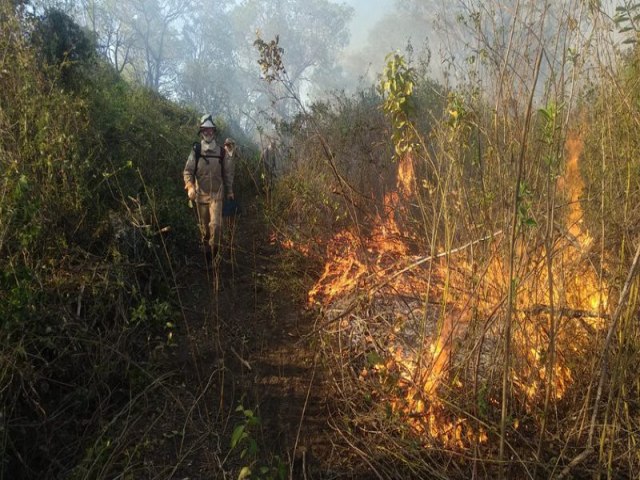 Bombeiros recebem reforo via aeronave para combate aos incndios no Pantanal