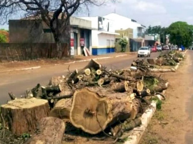 DEODPOLIS: Moradores protestam contra corte de rvores feitas pela prefeitura