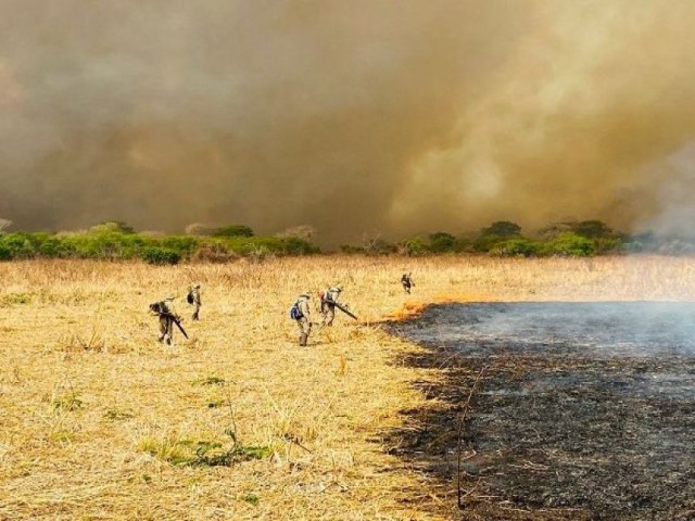 Combate aos incndios no Pantanal mobiliza 510 homens e 06 aeronaves