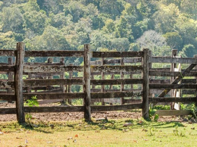 IGUATEMI: Funcionrio morre aps cair de cavalo quando puxava boi em fazenda
