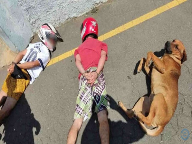 Cachorro acompanha abordagem de suspeitos e 'se rende' para policiais