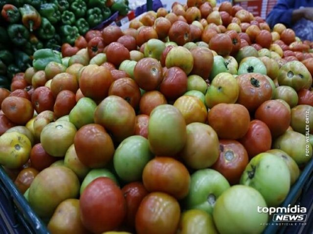 Depois de custar 12 contos, preço do tomate cai 40% em maio, em Campo Grande