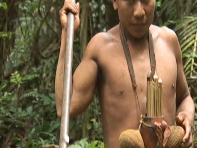 Mais de 100 indgenas procuram por Bruno Pereira e Dom Phillips no Amazonas