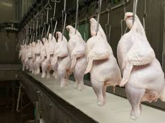 Brasil lidera ranking mundial de exportao de carne de frango