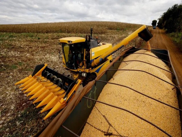 Exportao de milho do Brasil dispara no incio de setembro, diz Secretaria