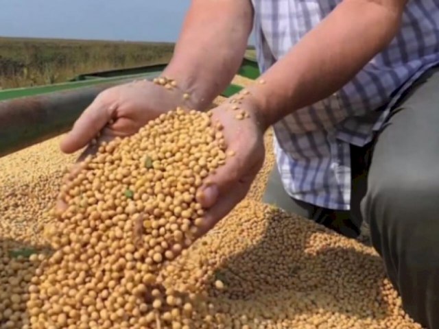 Consultoria aumenta estimativa de produo de soja mais uma vez