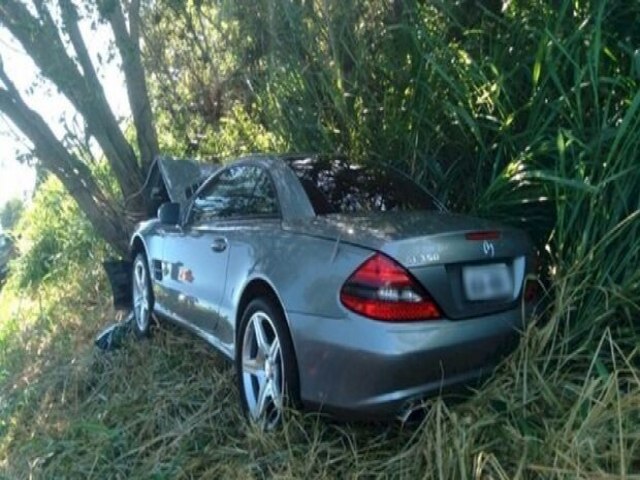 Mercedes fica com a frente destruda aps motorista desviar de capivaras e bater em rvore