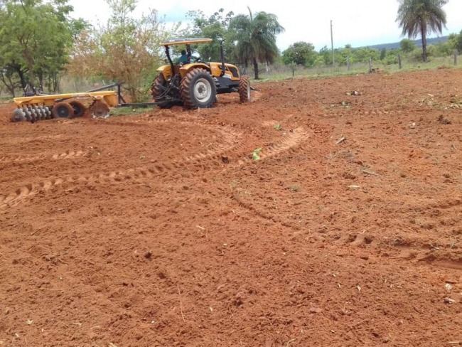 A Prefeitura Municipal de Palmeirante por meio da Secretaria Municipal de Agricultura tm atendido os pequenos agricultores do municpio com servios de gradagem para preparao do solo para o plantio