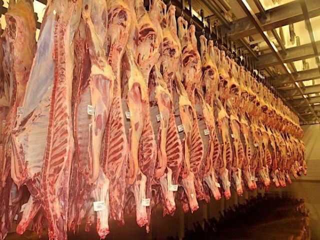 Exportaes de carne bovina batem recorde histrico em abril
