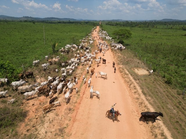 MPF realiza operao em So Flix do Xingu, Parauapebas, Tucum e gua Azul do Norte, contra suspeitos de fraudes e comrcio ilegal de bois em Terra Indgena