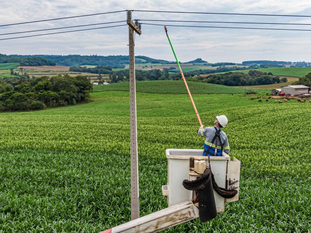 Do Clic Rural aos 19 mil km de redes do Paran Trifsico, Copel leva investimentos ao campo