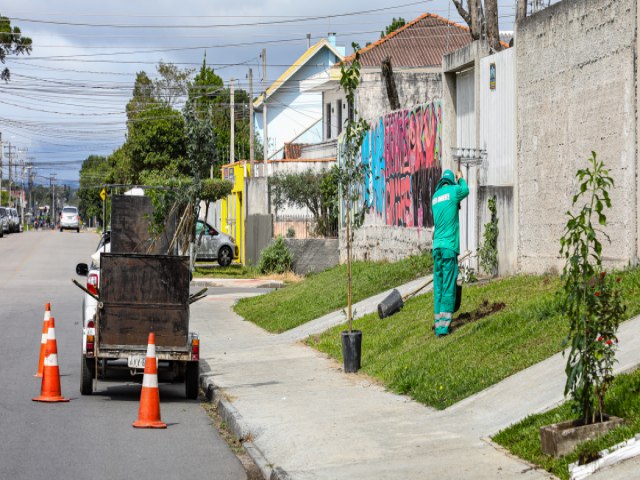 Pinhais investe em uma cidade arborizada e mais bonita