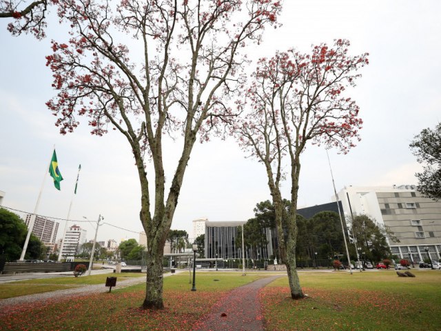 Assembleia volta a debater prorrogao do Estado de Calamidade Pblica no Paran