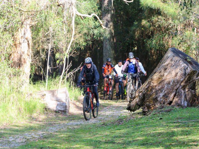 Pedalada Internacional da Natureza mostrou os encantos e os atrativos tursticos de Pinhais