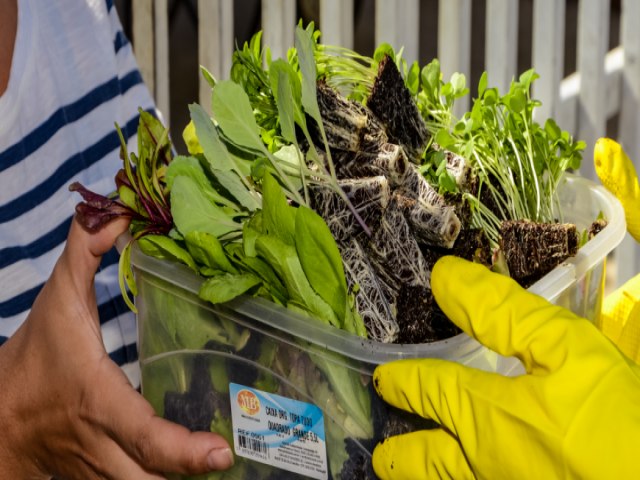 Pinhais apresenta experincias de sucesso em Mostra Estadual sobre Segurana Alimentar e Nutricional