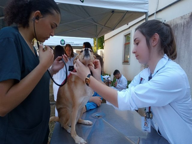 Hospital Veterinrio da UEL atende mais de 500 ces em campanha de vacinao