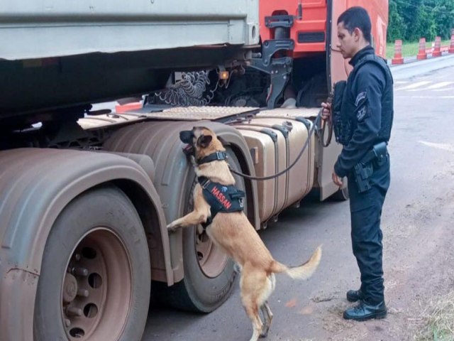 Vinte ces policiais reforam operaes da Polcia Penal do Paran