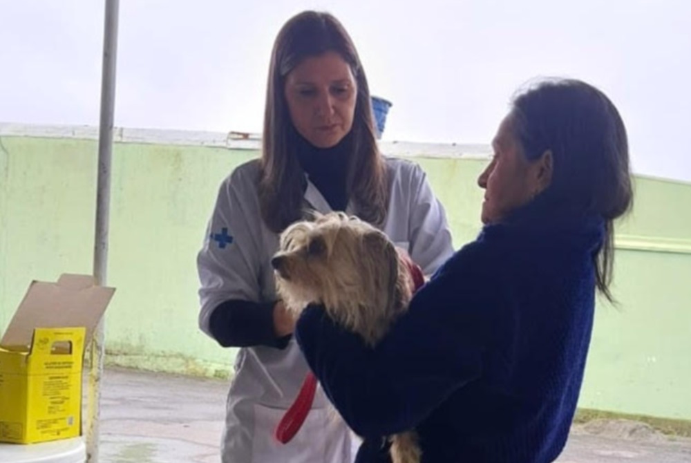 Mais de 210 doses de vacina antirr�bica   s�o aplicadas durante a��o promovida   pela Prefeitura de Pinhais
