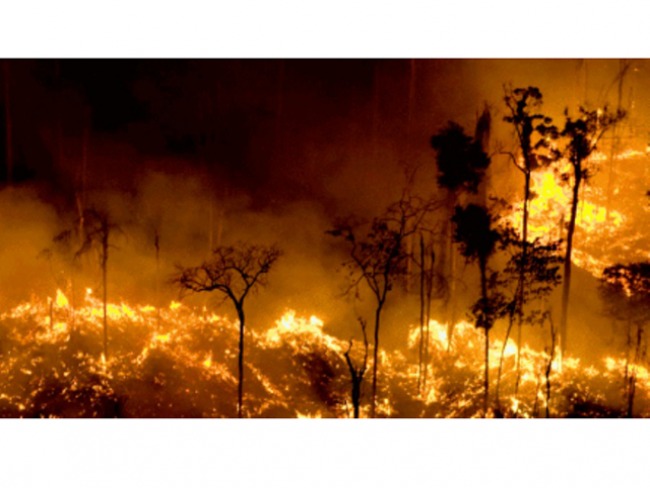 A Amazônia pega fogo - o Brasil ameaçado de isolamento pelos ímpetos de Bolsonaro 
