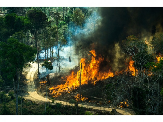 A floresta amazônica em chamas 2 