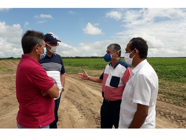 Secretários de agricultura e articulações políticas visitam projeto empresarial no ramo agrícola 