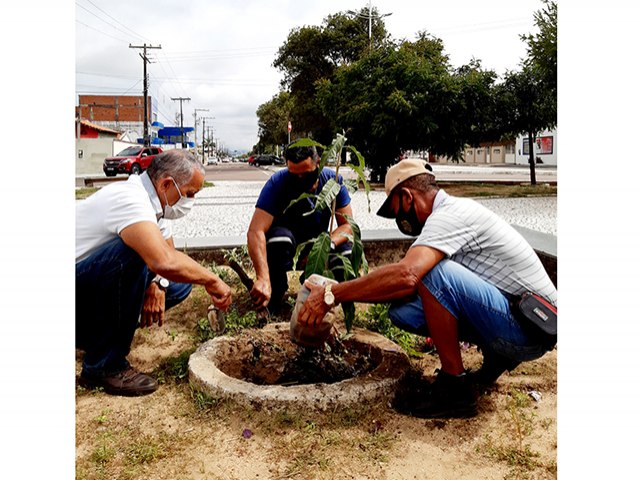 Dia da Mata Atlântica, 27 de maio – cidadão planta uma árvore  