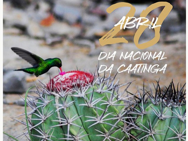 28 de abril  Dia Nacional da Caatinga