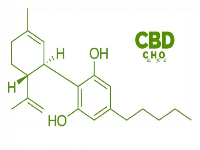 CBD: tudo sobre os benefcios medicinais da cannabis