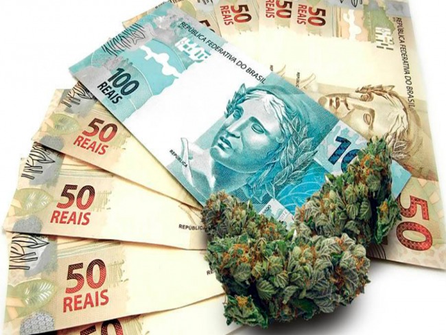 O Brasil pode vir a ter um significativo reforço econômico com o comércio legal da cannabis