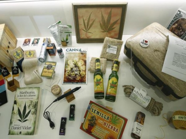 Museu da Cannabis no Uruguai: História da planta que cria cultura