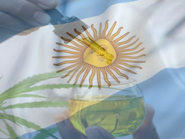 Argentina: Vendas de Cannabis em farmácias e cultivo doméstico