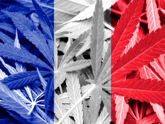França aplicará multa como medida punitiva para usuários de Cannabis