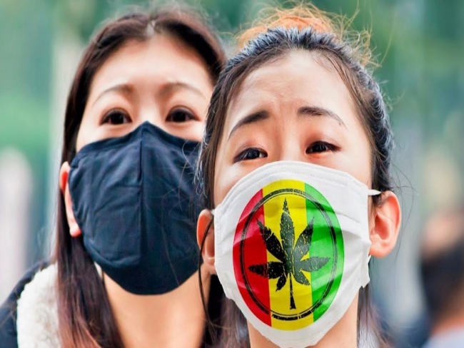 Contradição Chinesa: Potencia do Cannabusiness e berço de tradição canábica ainda mantém proibição no país