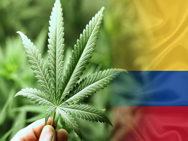 O que mudou na Colômbia após 3 anos de regulamentação da Cannabis Medicinal?